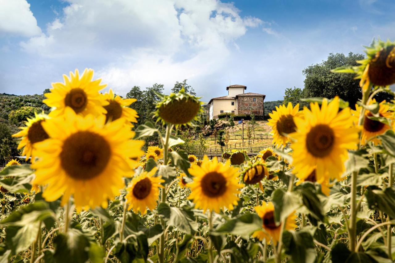 Вилла Palagina La Cascina Фильине-Вальдарно Экстерьер фото