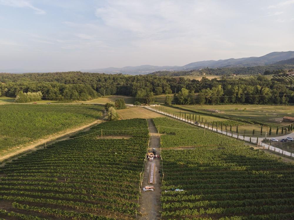 Вилла Palagina La Cascina Фильине-Вальдарно Экстерьер фото