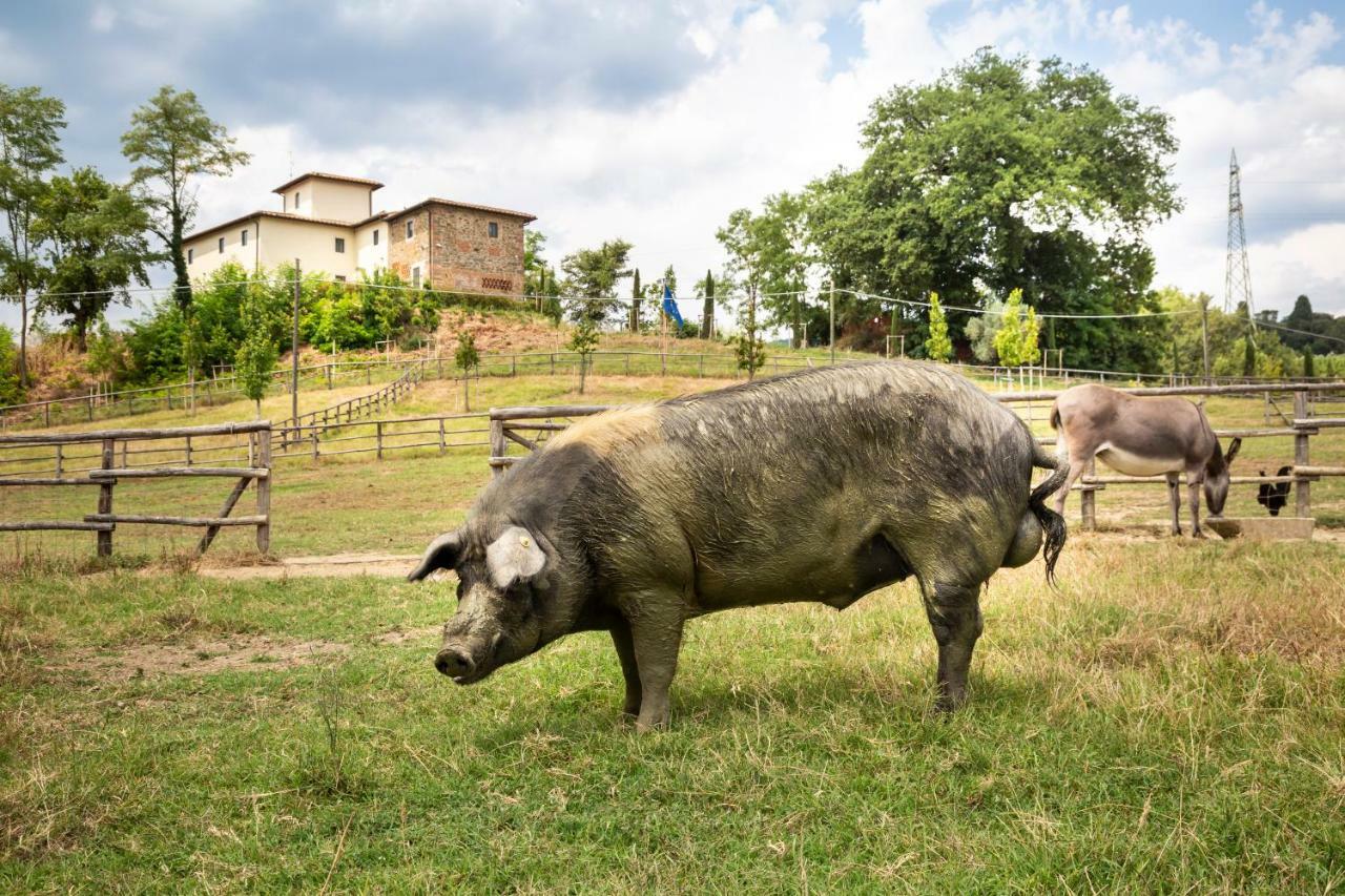 Вилла Palagina La Cascina Фильине-Вальдарно Экстерьер фото