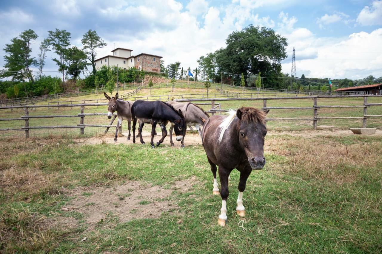 Вилла Palagina La Cascina Фильине-Вальдарно Экстерьер фото